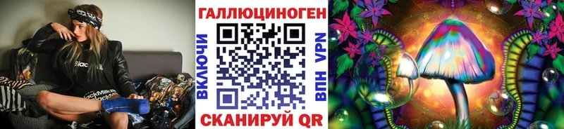 где продают наркотики  Элиста  Псилоцибиновые грибы GOLDEN TEACHER 